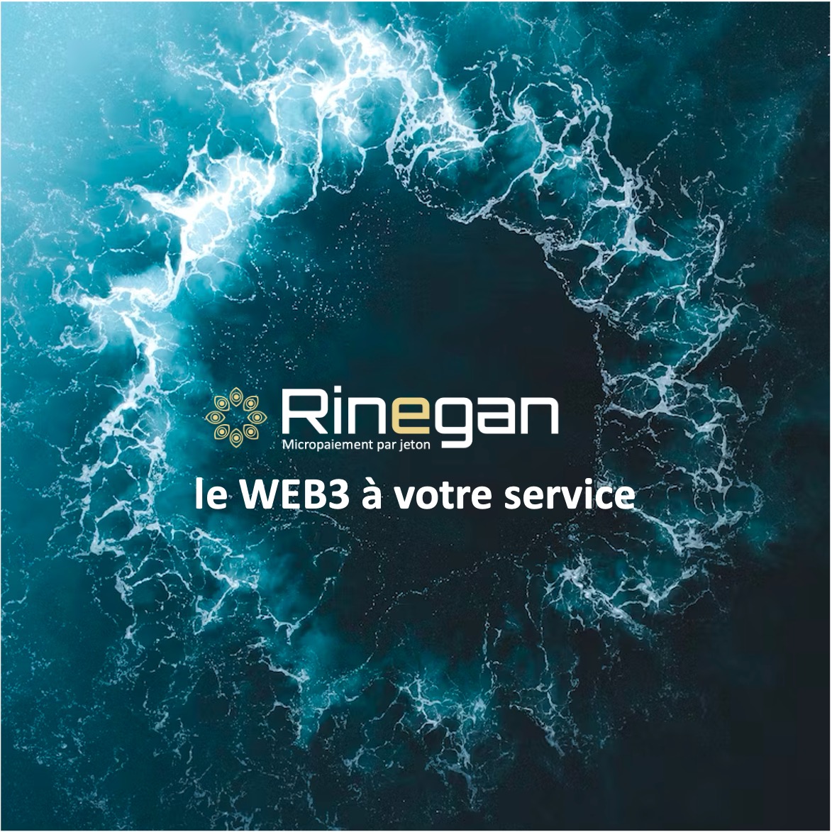 rinegan.com